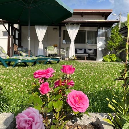 Charmante Petite Maison Transylvanie Villa Săcele Eksteriør billede