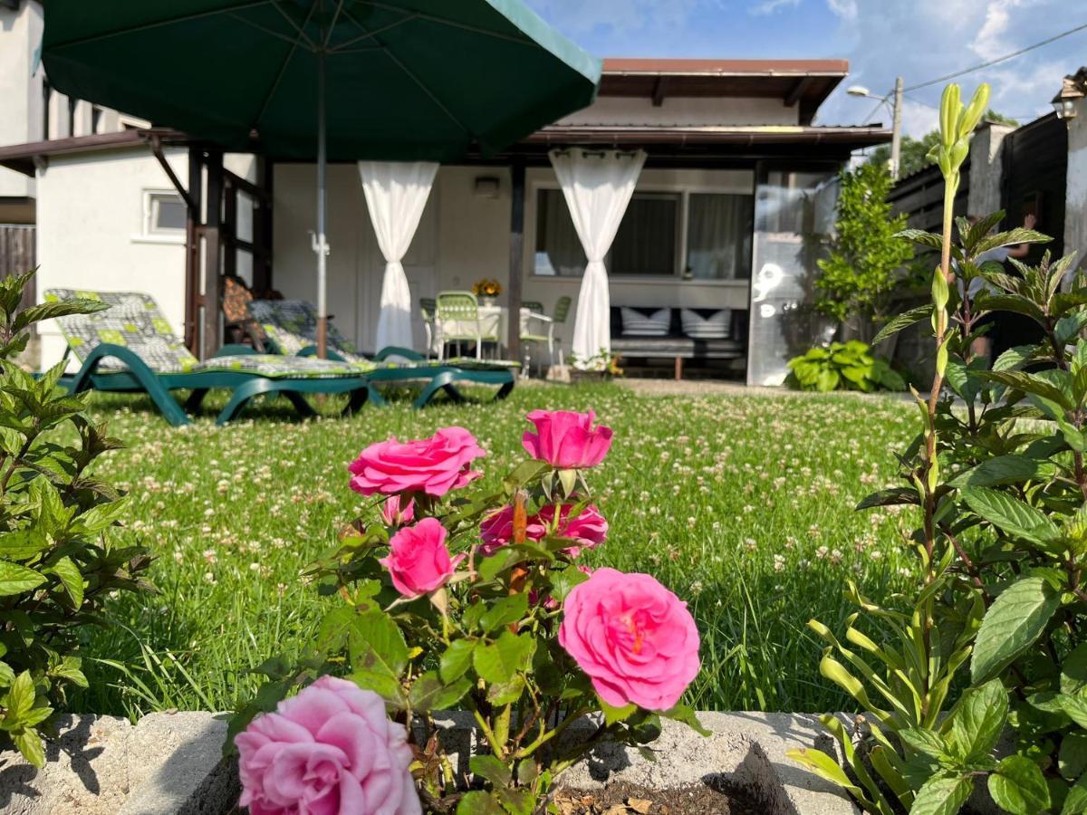 Charmante Petite Maison Transylvanie Villa Săcele Eksteriør billede