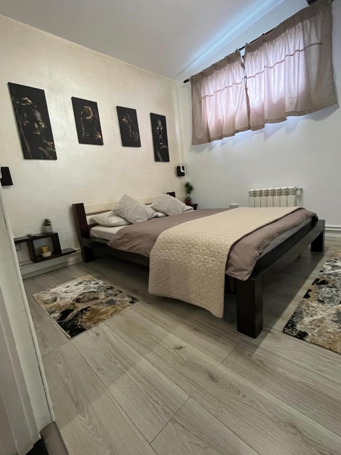 Charmante Petite Maison Transylvanie Villa Săcele Eksteriør billede